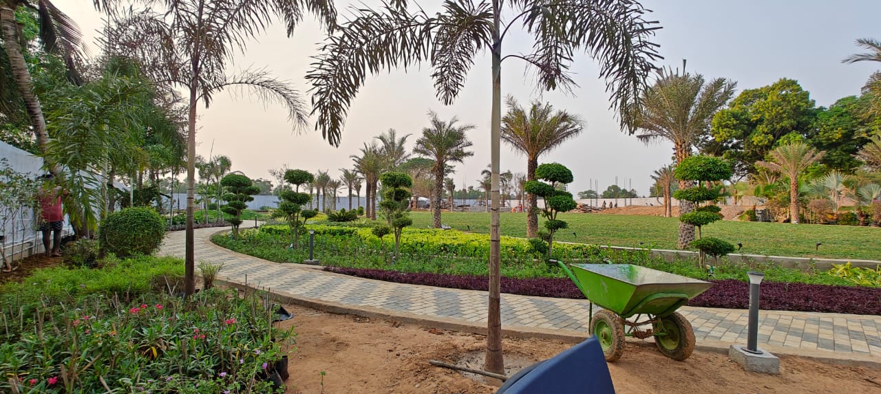Features image